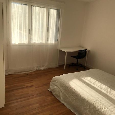 Grenoble Joli Appartement Extérieur photo